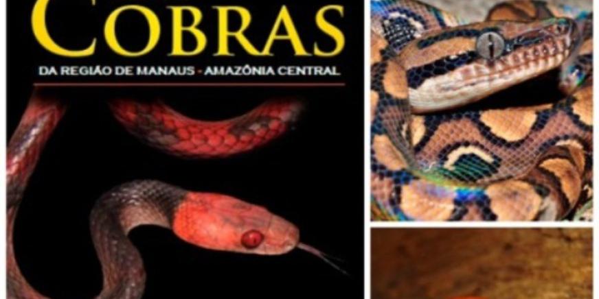 Cobras da Amazônia – ACA – Associação Comercial do as