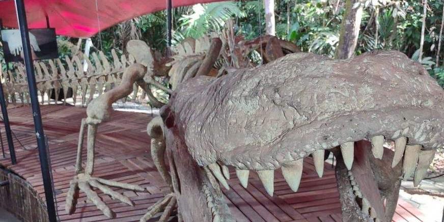 Museu no Acre abriga réplica do Purussaurus e até caixa que só será aberta  em 2120 - Portal Amazônia