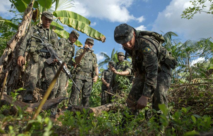 Exército quer combater o plantio de cocaína no lado brasileiro da