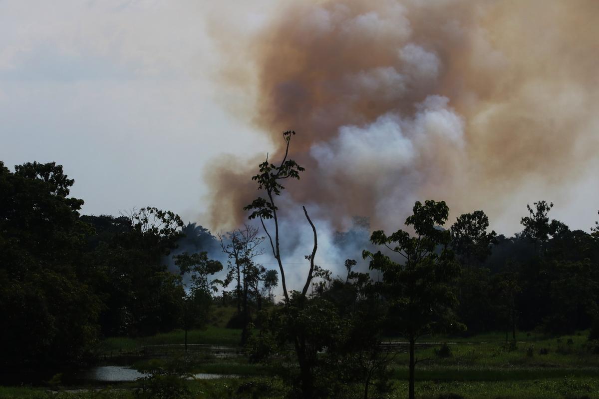 Focos de queimadas na estrada para o Careiro Castanho (Foto: Márcio Silva/A CRÍTICA)