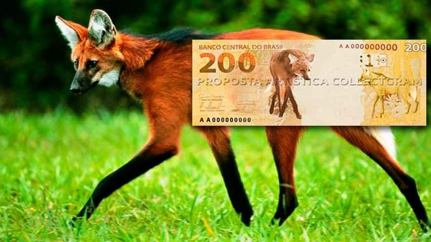 Imagem da cédula de R$ 200, com lobo-guará, é divulgada pelo Banco Central