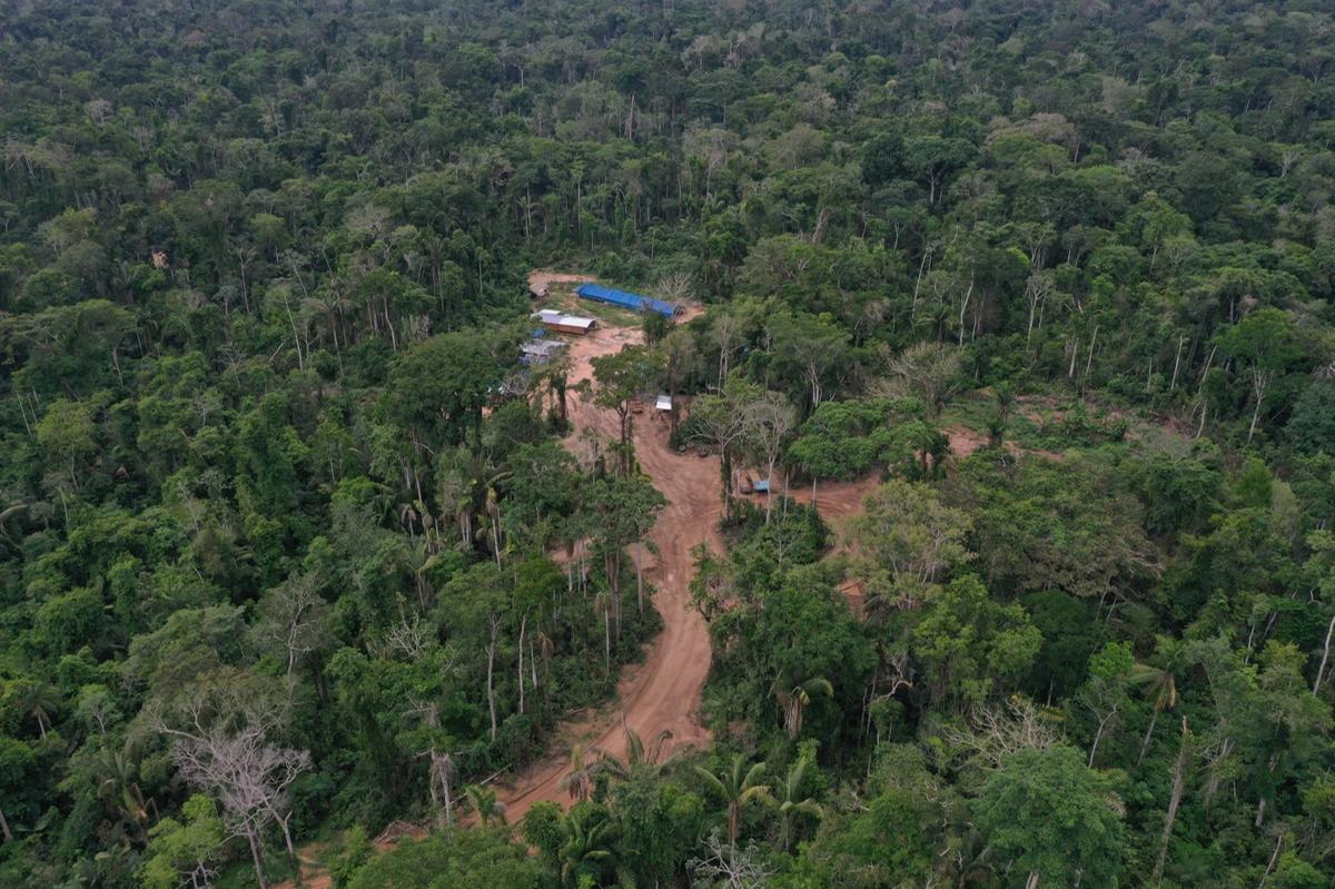 Madeireira fica localizada nas proximidades de onde os Mashco Piro foram avistados (FENAMAD)