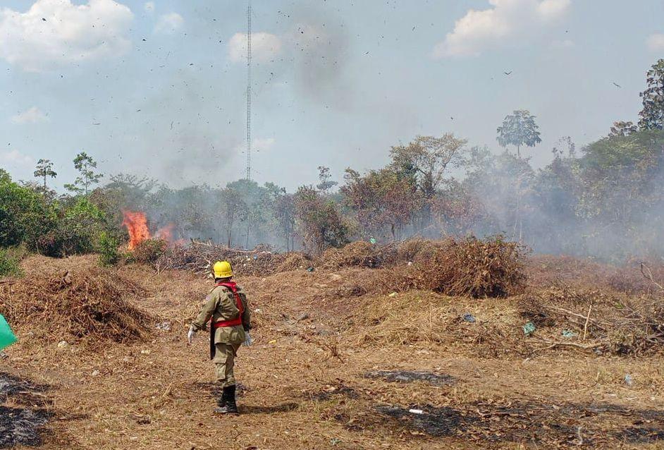 Queimada na Amazônia (Foto: Divulgação)