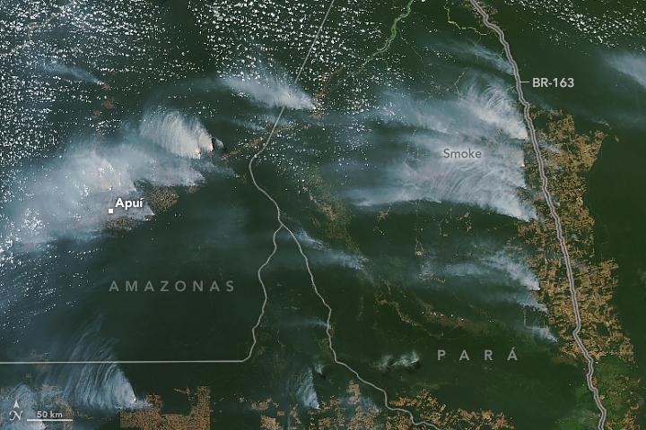 Imagem de satélite do dia 4 de agosto mostra grande atividade de fumaça na divisa entre o Amazonas e o Pará (Foto: Nasa)